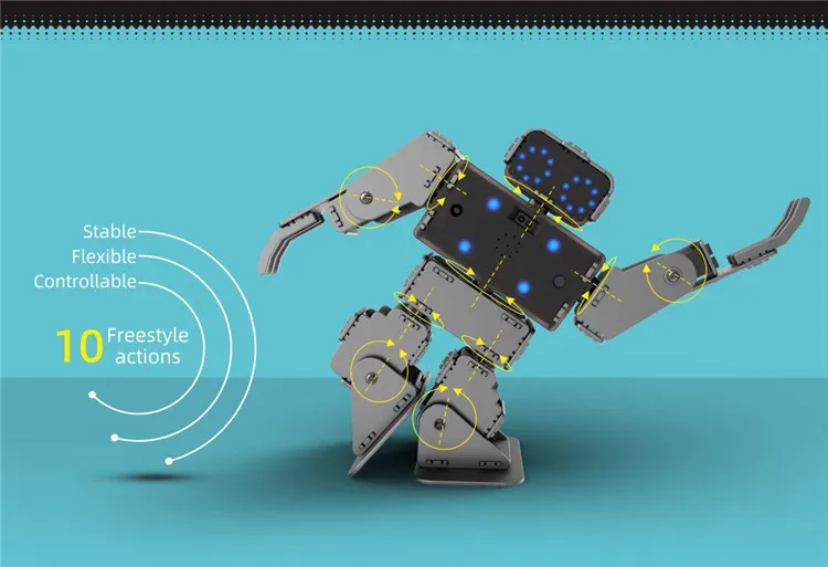 best programmable robots for adults