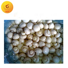 mushroom in drum.jpg