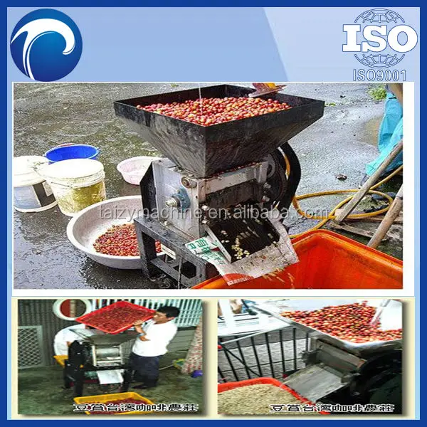 Fresh Cacao And Coffee Bean Hulling Machine Buy Cacao Bean Hulling