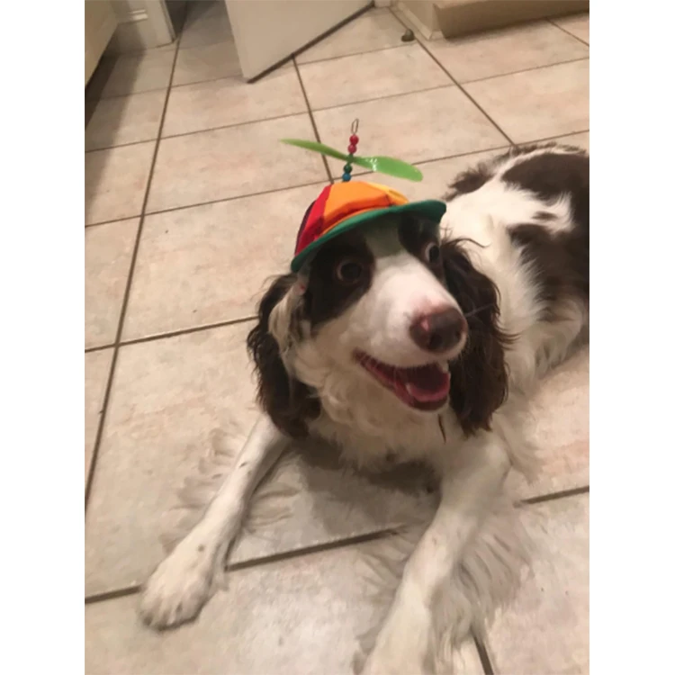 Iridescent Size and Rope Double Adjustment Pet Hats for Small Middle and Large Dog GEANBAYE Dog Hats with Funny Propeller