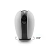 Private Label OEM Security Wireless 1080P PTZ Egg Camera