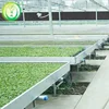 Hot Sale Rolling Benches Ebb and Flow Table For Commercial Agriculture