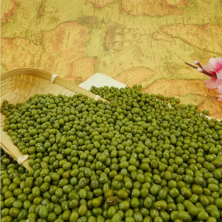 Organic Sprouting green mung beans