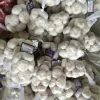 Shandong origin small size garlic packed in bag