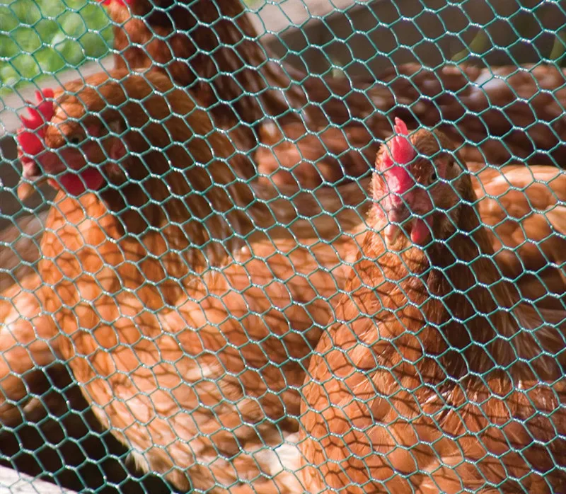 wire-mesh-for-chicken-coop-chicken-mesh-wire-galvanized-hexagonal-wire