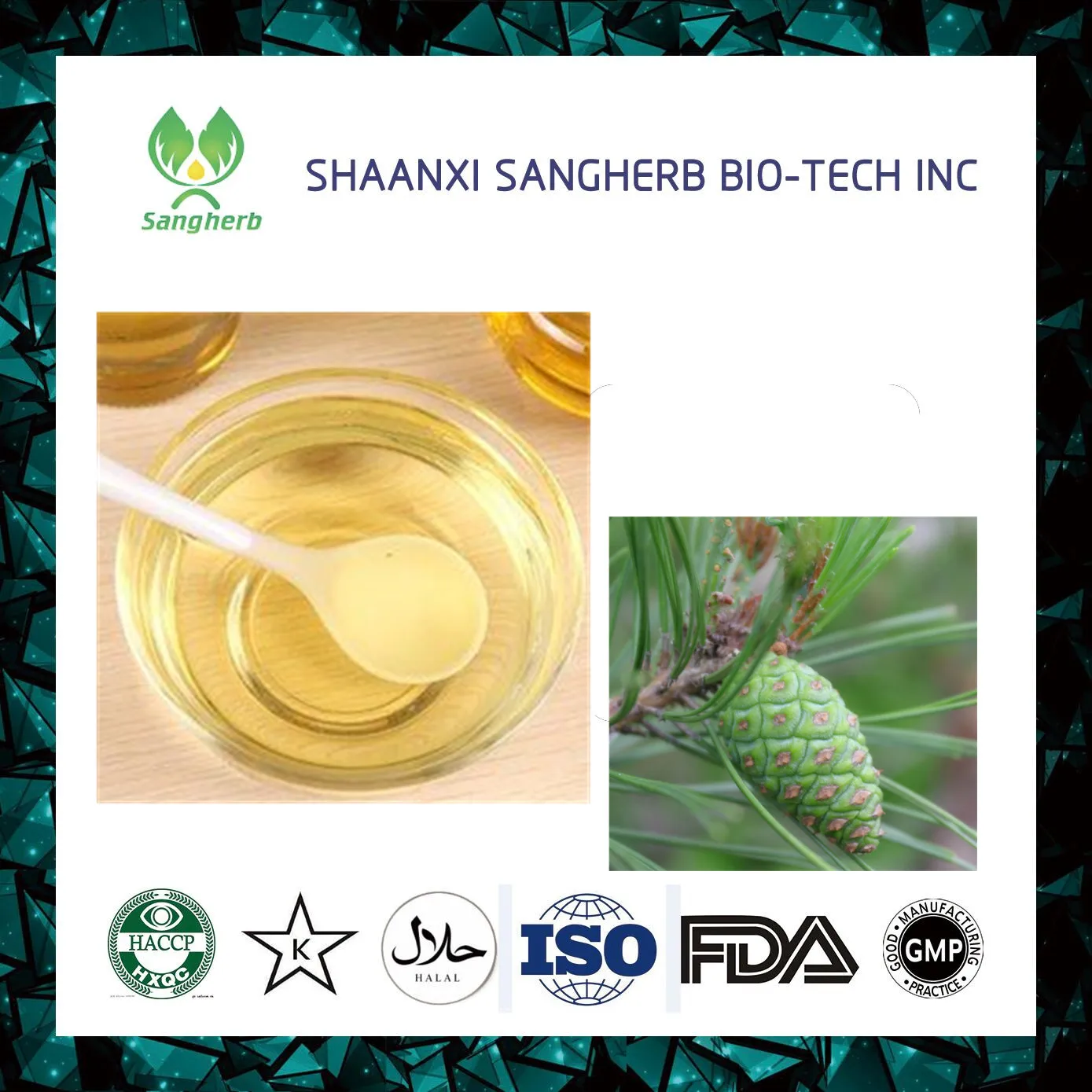 100 Natural Fir Pine Needle Oil/extract Buy 100 Natural Fir Pine