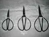 RARE ANTIQUE HAND-FORGED IRON SCISSORS FOR REENACTMENT