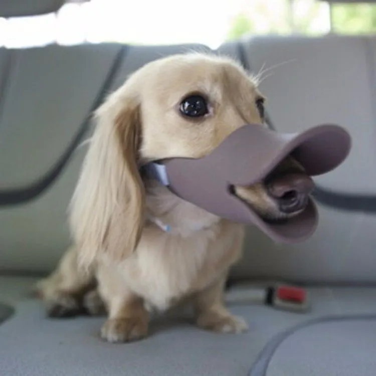 novelty muzzles for dogs