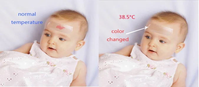 paste-pic-dp_uuid_u71x2