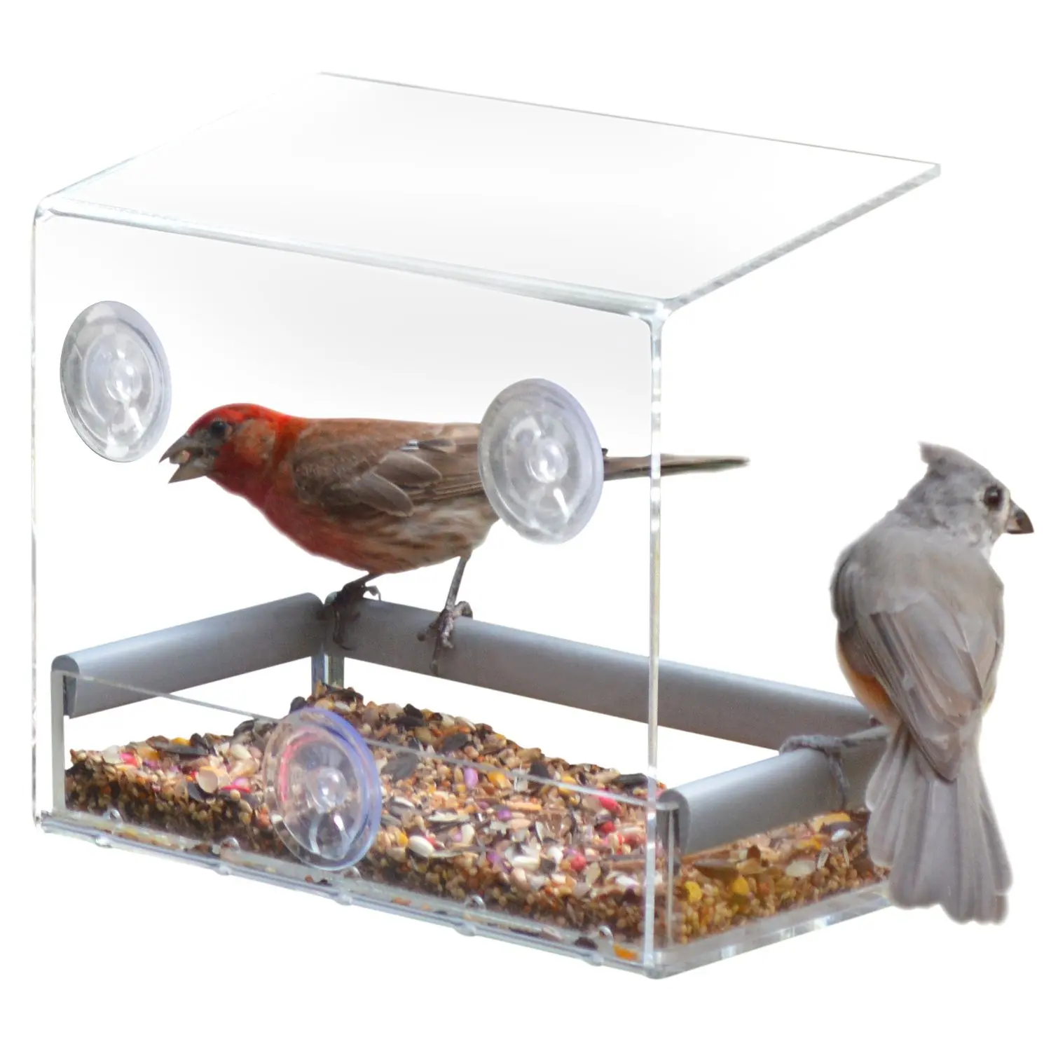 Easy Clean Squirrel Proof Design Clear Acrylic Window Bird Feeder