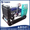 Small power nitrogen gas generator with advanced control system
