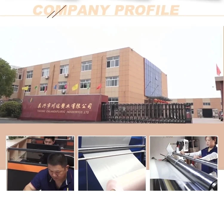 company infomation
