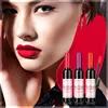Wholesale Red Wine Lipstick Liquid Matte 6 Colors Lip Use