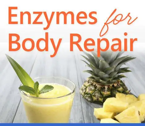 repair-enzymes_1024x1024.jpg