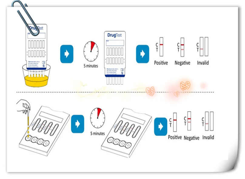 Test panel. Positive or negative drug Test.