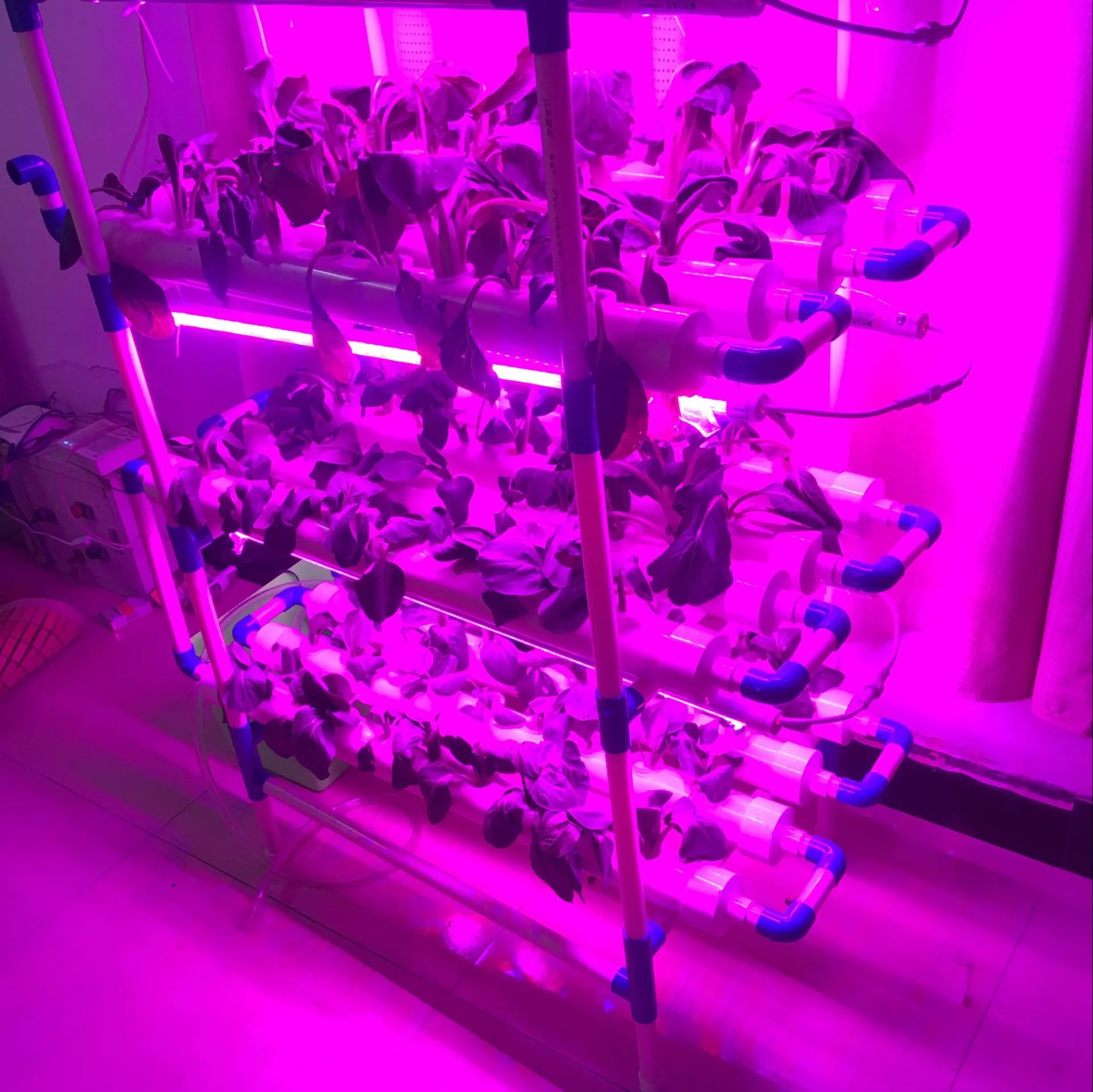 Nft Led Nft 3 레이어 12 Pvc 파이프 수경 시스템 Led 성장 야채 정원 온실 수경법 플라스틱 - Buy Nft 3 Layer ...