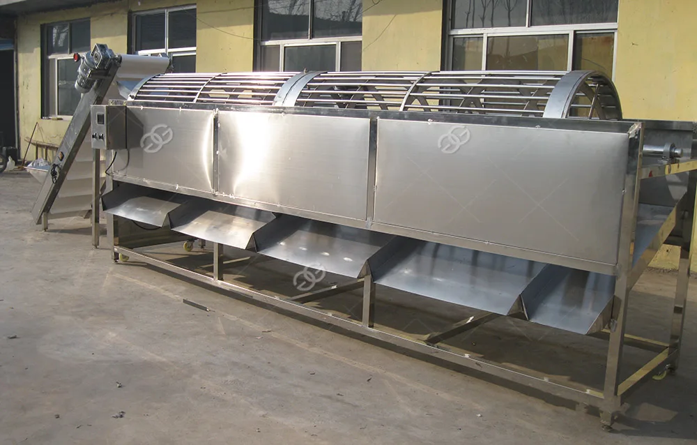 Kiwi Grading Machine