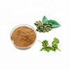 Free Sample High Quality Green Coffee/Coffe Bean Extract 10% 50% Slimming Total Chlorogenic Acids Powder Supplier
