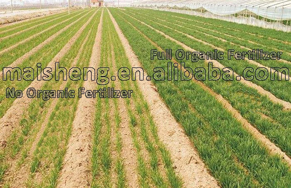 buy plant fertilizer,waste to fertilizer plant,fermented