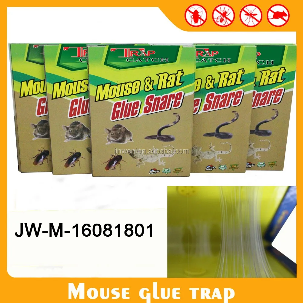 Best Quality Factory Mouse Gum Pad Rat Glue Trap Jwm16081802 Buy Rat Glue Trap,Mouse Trap