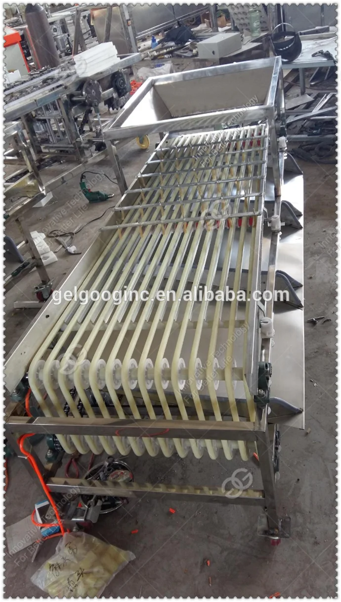 Automatic Apricot Avocado Sorting Machine Grading Machine