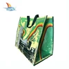 Double Handles Big PP Woven Foldable Shopping Bag