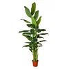 Top grade trendy wholesale decorative plastic banana tree with PU trunk