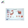 Embossed poster 3d human body anatomy medical education PVC poster with cheap price