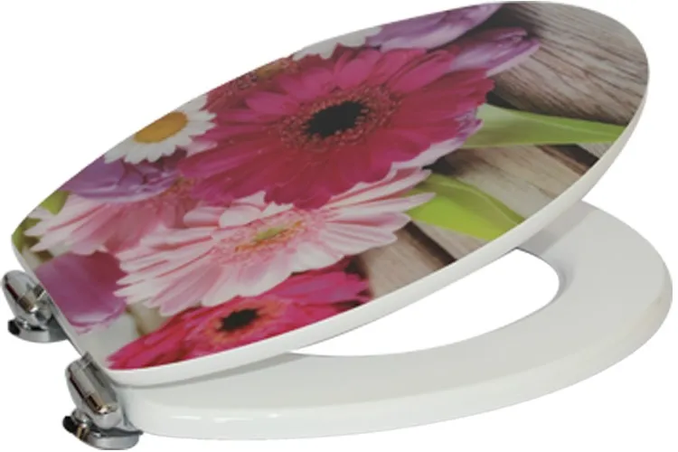 One Side Acrylic Beautiful Wc Toilet Seat Buy Wc Toilet Seat,Acrylic Toilet Seat,Beautiful