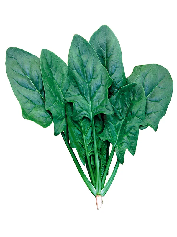 spinach101.jpg