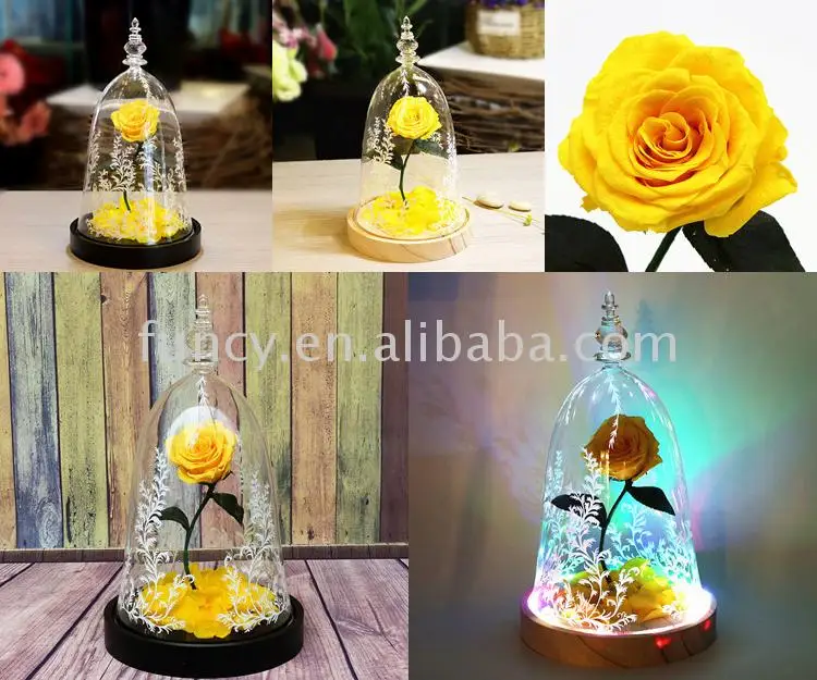 Best Valentines Day Gift Preserved Flower Beauty And The Beast