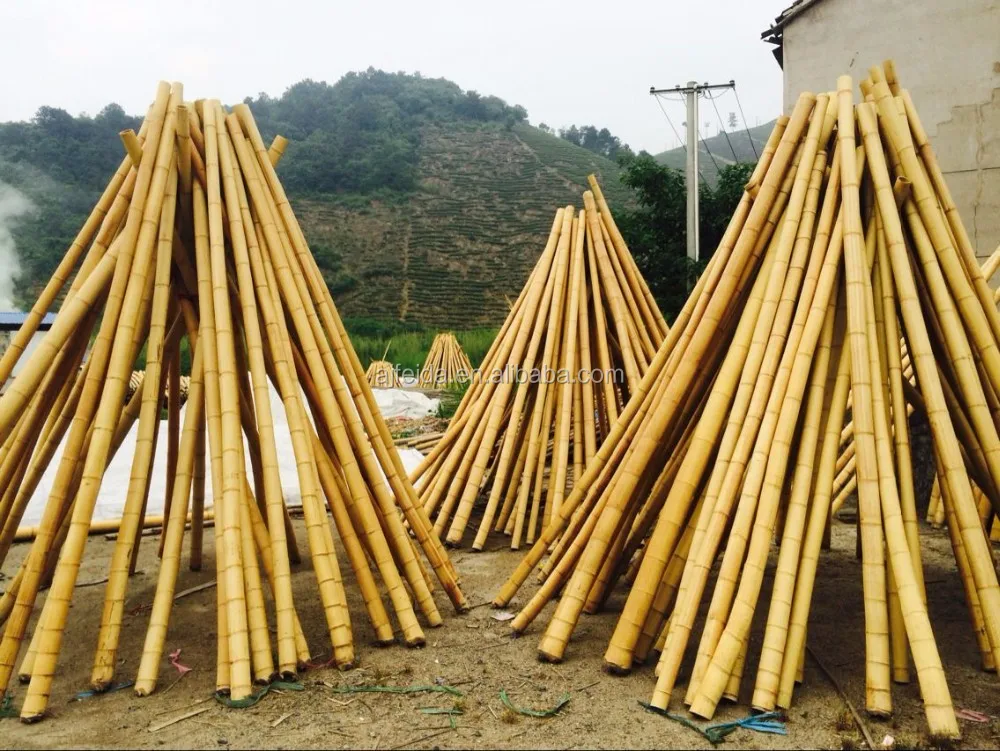 Fdjack 11nature Raw Dry Straight Rattan Bamboo Canes For Sale Buy