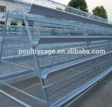 electric galvanized.png