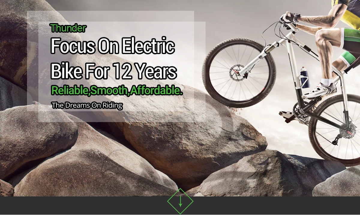 electric bicycle co