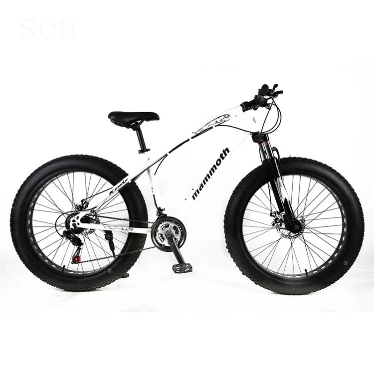 Best Single Speed Fat Bike /fat Tire Mountain Bikes For Sale/snow Bike