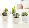 Amazon Best seller Set of 4 Artificial Mini Succulent & Cactus Plants in White Cube-Shaped Pots