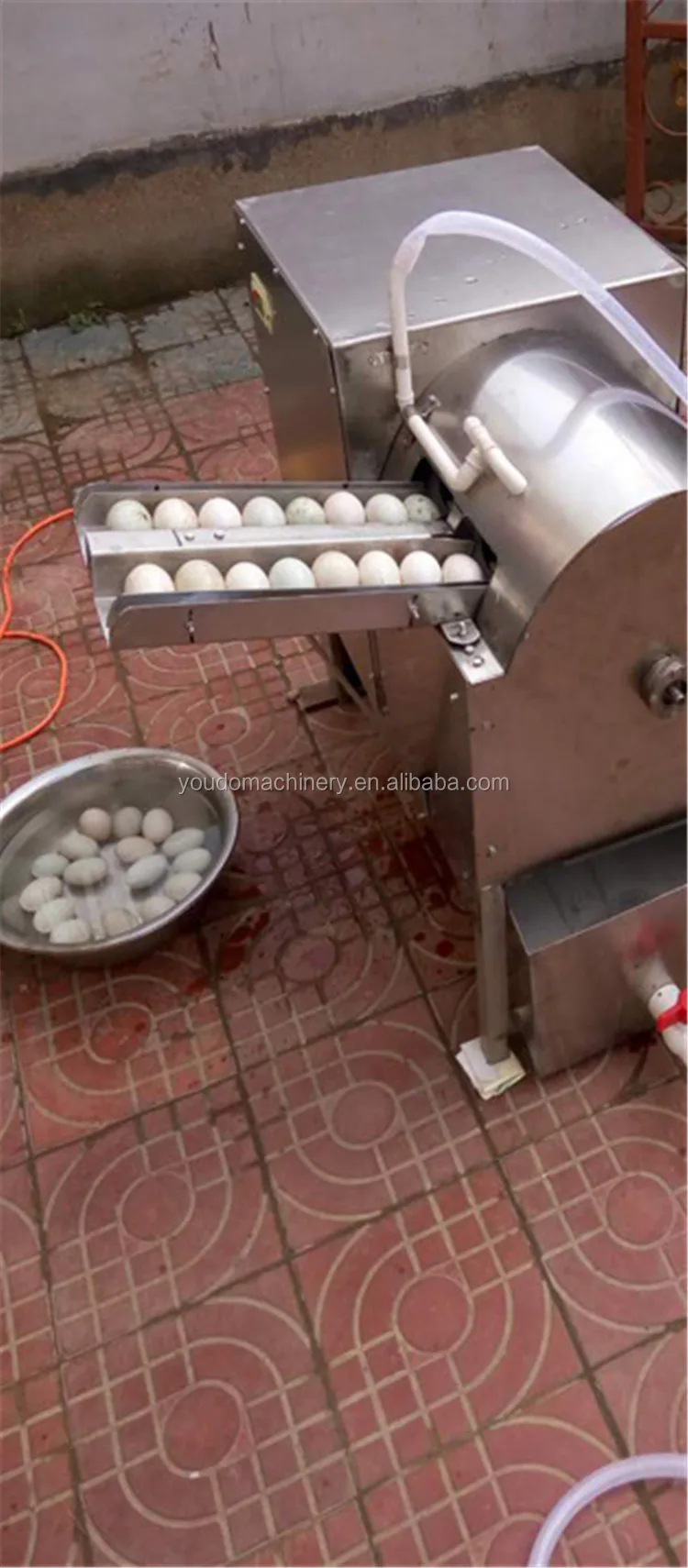 Double Row Automatic Chicken Egg Washing Machine Quail Egg Cleaning