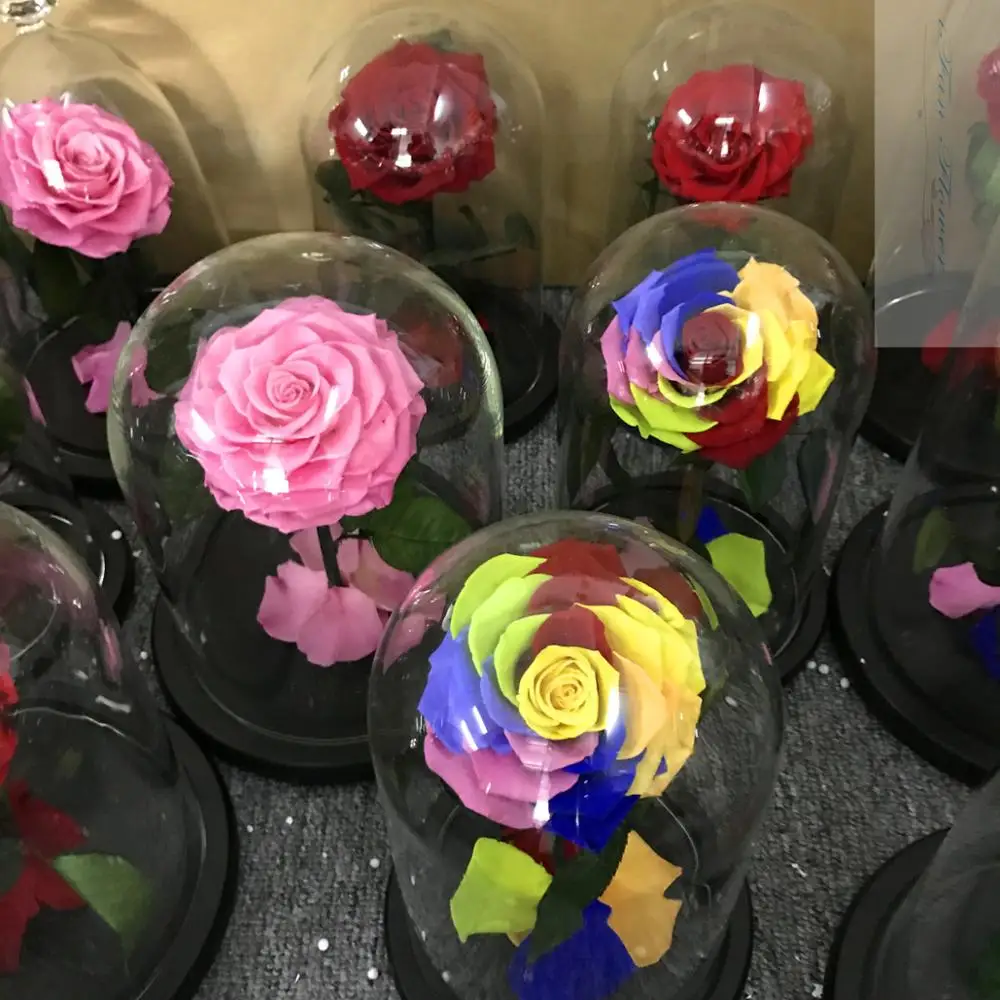 Long Life Fresh Rose Preserved Flowers In Glass Buy Preserved Roses