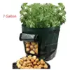 Potato Grow Bags 7 Gallon Garden Vegetables Planter Bags with Handles and Access Flap for Planting Potato Carrot Onion