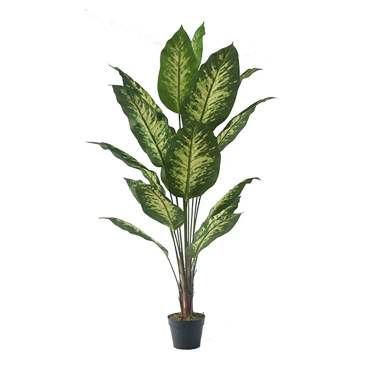 1.5m Artificial Dieffenbachia Evergreen Tree Indoor Decor - Buy ...