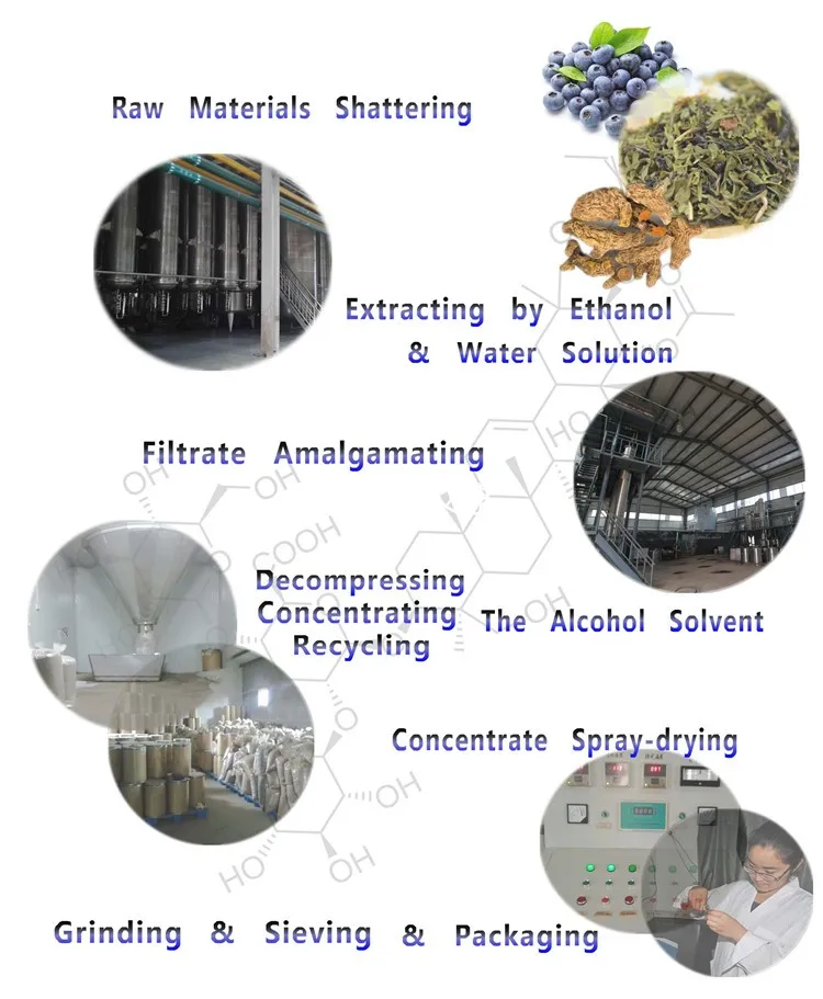 technical flow process.jpg