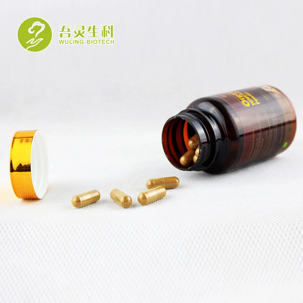reishi mushroom extract.jpg
