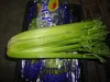 Fresh Chinese celery supplier