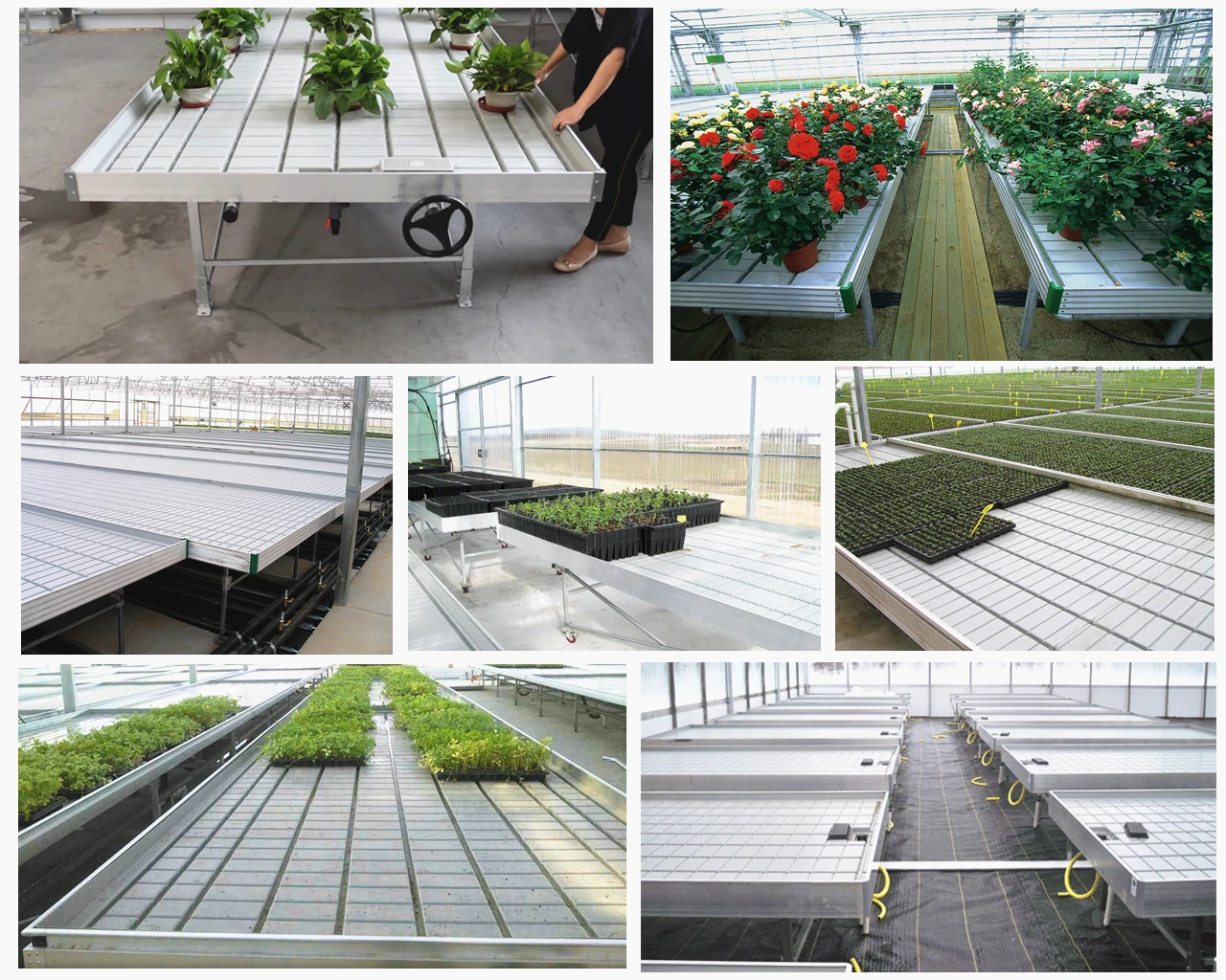 4x8ft flood trays hydroponic rolling benches and drain table