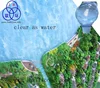 Water Clear Encapsulation / Display Rubber for small scale model environments