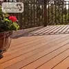 2019 new develop double color co-extrusion wpc decking
