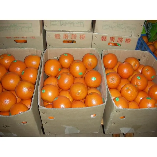 naval orange.jpg