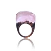 Fantastic Sky Pink Resin Wood Ring Handmade Miniature Nature Landscape Wooden Ring for Women Jewelry New Arrival 2018