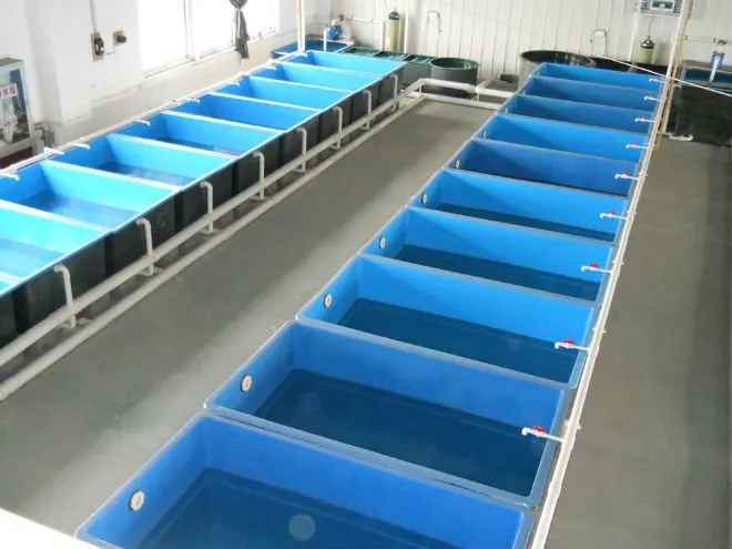 aquaponics rectangular fish tanks / ponds - buy