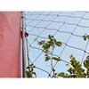 Wire Mesh Tension Fixing/Stainless Steel Cable Netting Green Walls